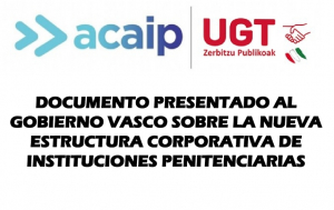 Propuesta al gobierno Vasco nueva estructura corporativa