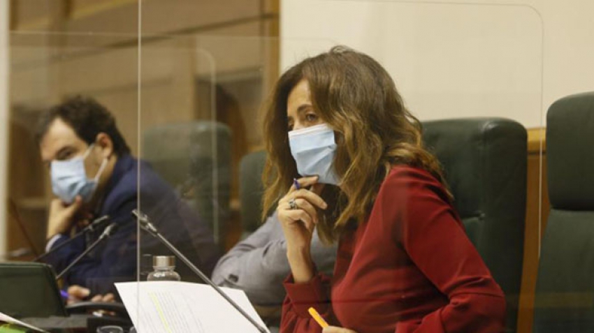 La consejera Olatz Garamendi, en una comparecencia reciente en el Parlamento
